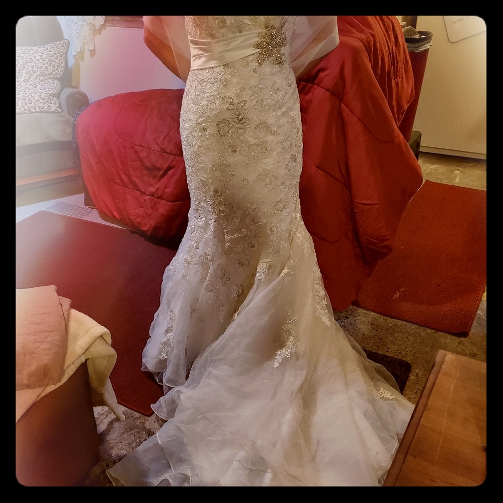 Wedding dress with vail shoes and ringbearer pillo